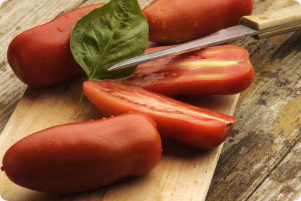Tomate - San Marzano