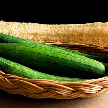 Luffa Schwammgurke