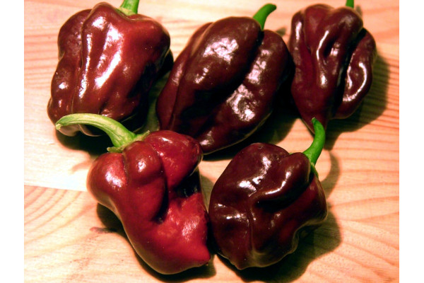 Chili - Habanero Chocolate