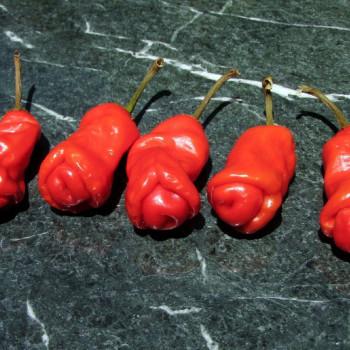 Chili - Peter Peppers Penis Chili