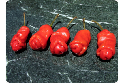Chili - Peter Peppers Penis Chili