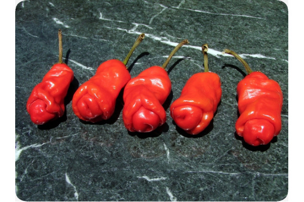 Chili - Peter Peppers Penis Chili
