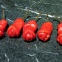 Chili - Peter Peppers Penis Chili
