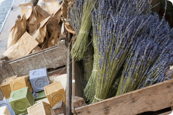 Echter Lavendel