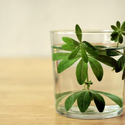 Woodruff