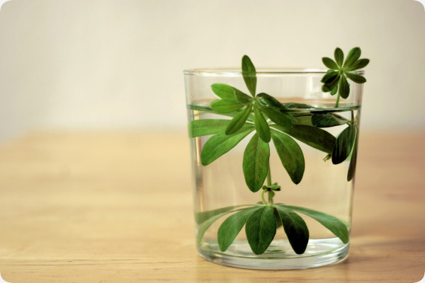 Woodruff