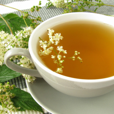 True Meadowsweet