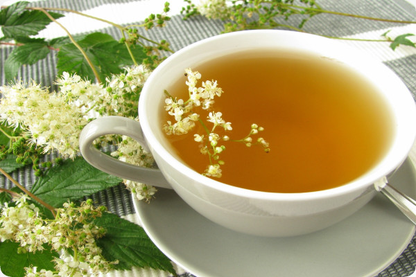 True Meadowsweet