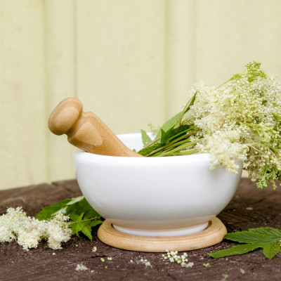 True Meadowsweet