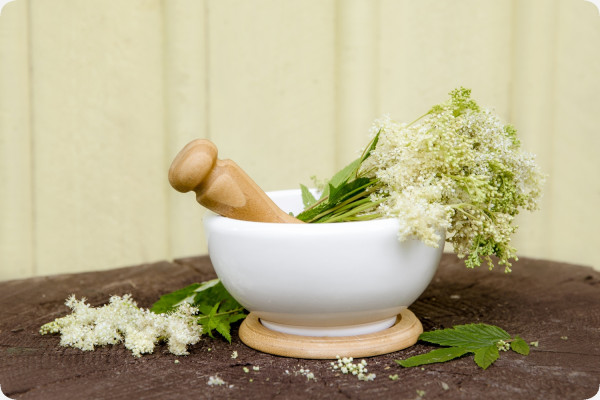 True Meadowsweet