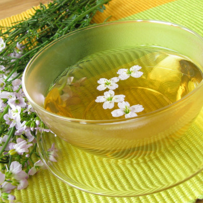 Meadowfoam