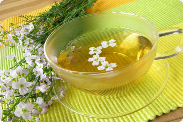 Meadowfoam