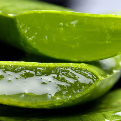 Echte Aloe