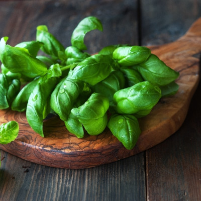 ORGANIC - Basil Sweet Genovese