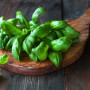 ORGANIC - Basil Sweet Genovese