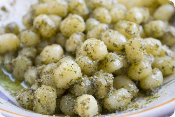 ORGANIC - Basil Sweet Genovese