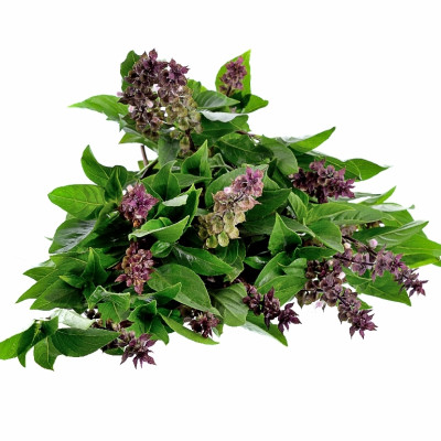Organic Thai basil