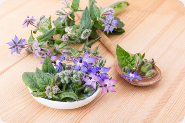 Organic borage