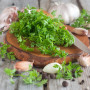 Organic chervil