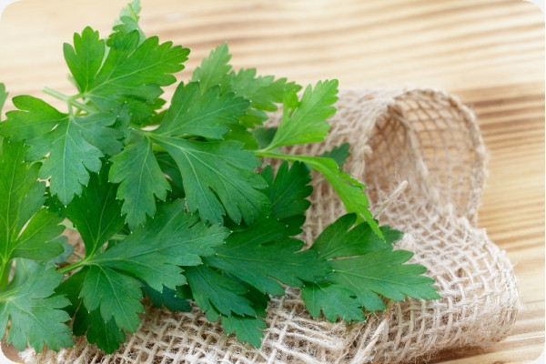 Organic chervil