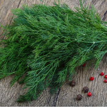 BIO - Dill