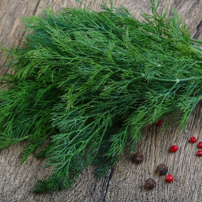 Organic dill
