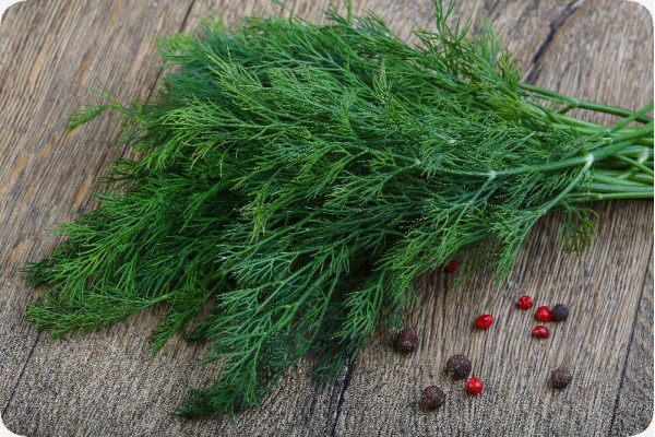 Organic dill