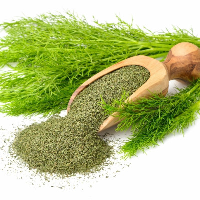 Organic dill