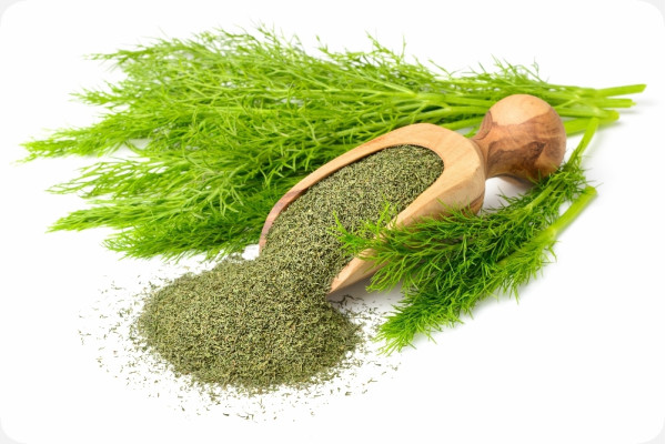 Organic dill