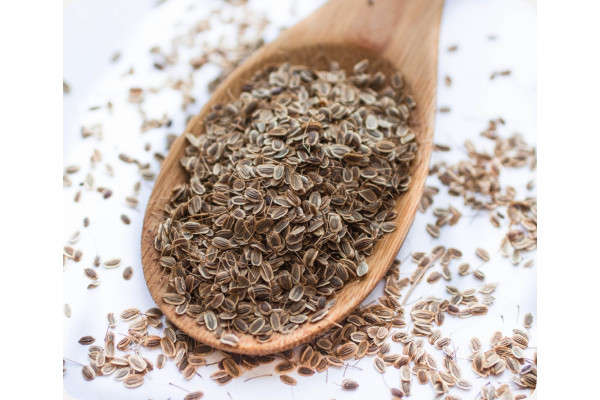 Organic dill