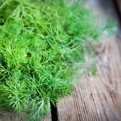 Organic dill