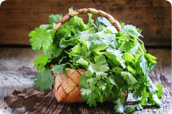 Organic coriander