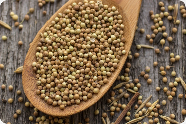 Organic coriander