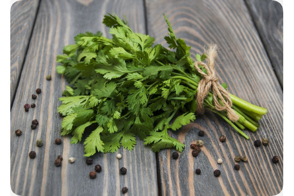 Organic coriander