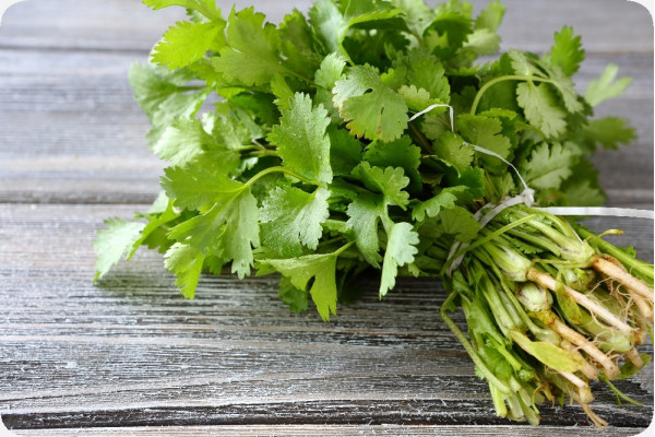 Organic coriander