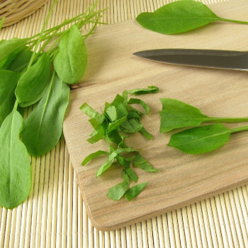 Organic - Sorrel