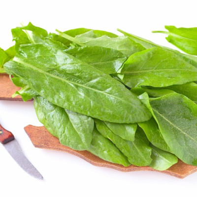 Organic - Sorrel