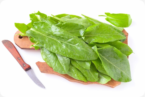 Organic - Sorrel