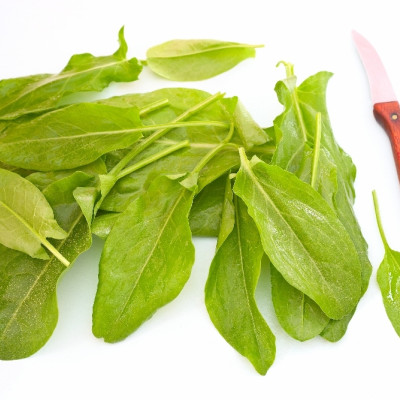 Organic - Sorrel
