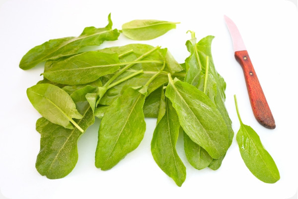 Organic - Sorrel