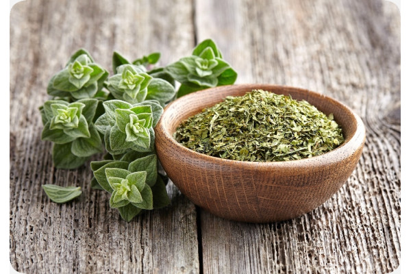 Organic marjoram