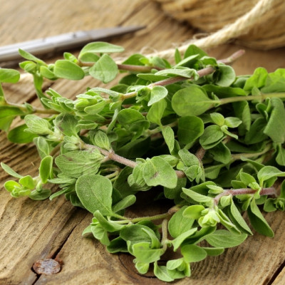 Organic oregano