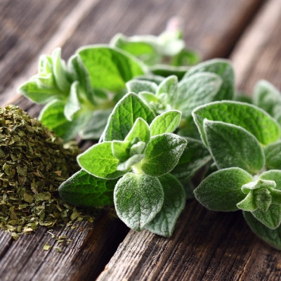 Organic oregano