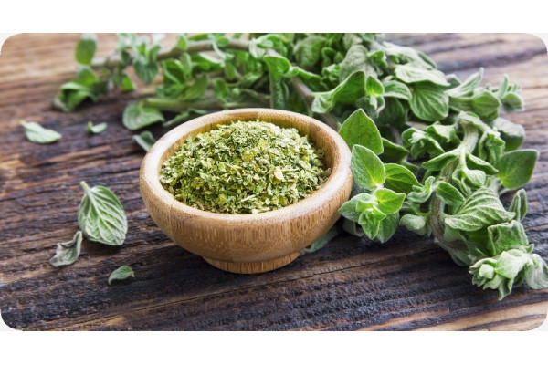 Organic oregano