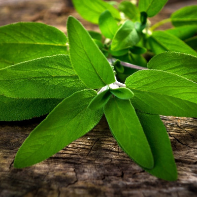 Organic sage