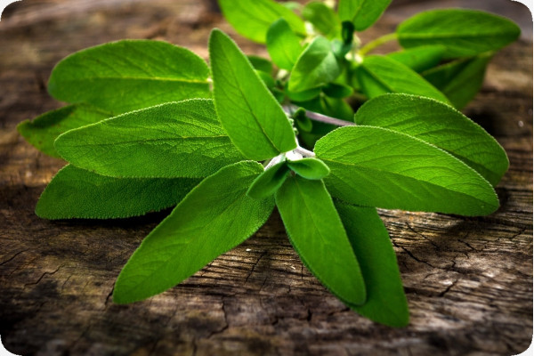 Organic sage