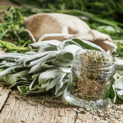 Organic sage