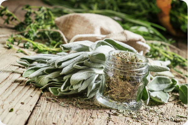 Organic sage
