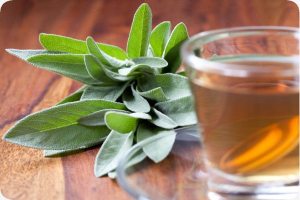 Organic sage
