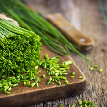Organic chives